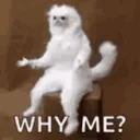 whyme whyme