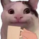 1catsip