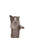 hypee
