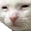 HUH