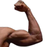 AJ_Arm_2 AJ_Arm_2