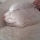 Inkyscatslep Discord Emoji