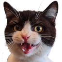Happy Discord emoji