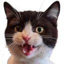 Alfred_Happy Discord Emoji