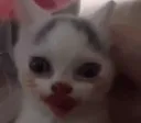 mow