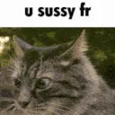 MA_StopTalkingNOWSussyWeirdCring MA_StopTalkingNOWSussyWeirdCring