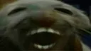 ddx