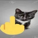 FuckYouCat_MO Discord Emoji