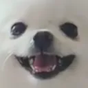 happiness happiness