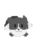 corp_catroll1 Discord Emoji