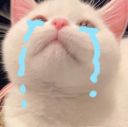 cat_tears_cry Discord emoji