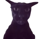 doitwigglewiggle