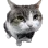 Robert