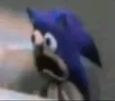 sanic