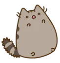 shook_pusheen