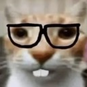 ch_nerdcat Discord emoji