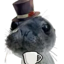 FinnegasTeaSip