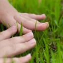 touchgrass