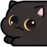 cat_segment_head_dumb