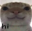 hi