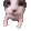 catKiss catKiss