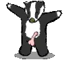 BB_dickBadger