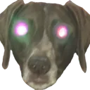 doge_dixieo_o Discord Emoji