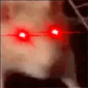 HyperKev