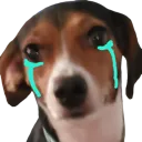 doge_pipercri Discord Emoji