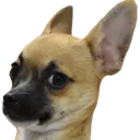 doge_uwot Discord Emoji