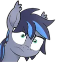 midnightannoyed