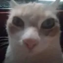 fuck