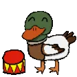 duck_drums