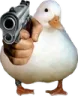 w_duckgun