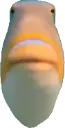 DehydratedFishwut