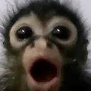wOw