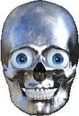skull