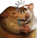 ratload