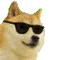 doge_dance