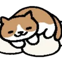 pt_nekosleep