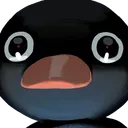 NootStare