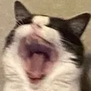 pudscrem