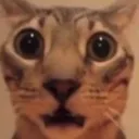 WTF
