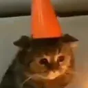sadcat sadcat