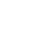 aegis Discord emoji