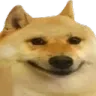 dogsmile