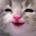 orlly