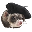 ferretinabarrette Discord emoji
