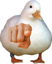 isforyou Discord emoji
