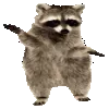 raccdance
